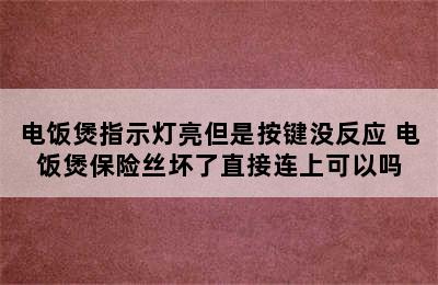 电饭煲指示灯亮但是按键没反应 电饭煲保险丝坏了直接连上可以吗